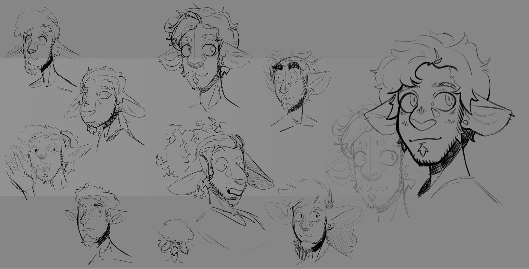 Face Exploration